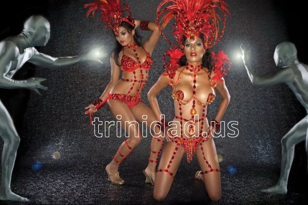Trinidad Carnival 2014 photo